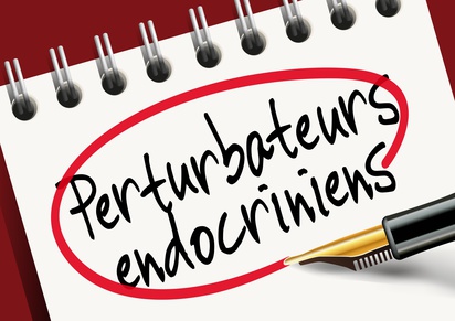 note sur un carnet perturbateur endocrinien